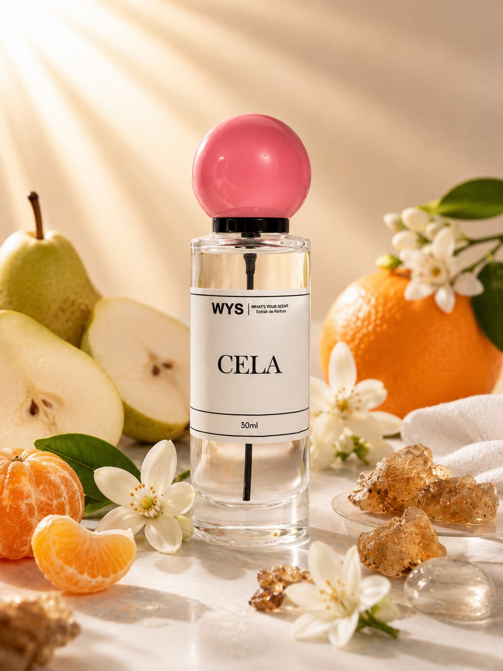 CELA